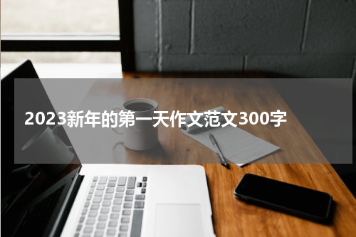 2023新年的第一天作文范文300字