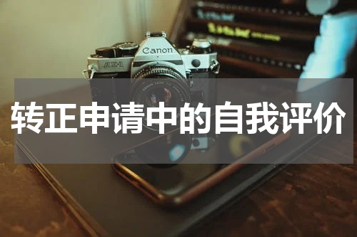 转正申请中的自我评价