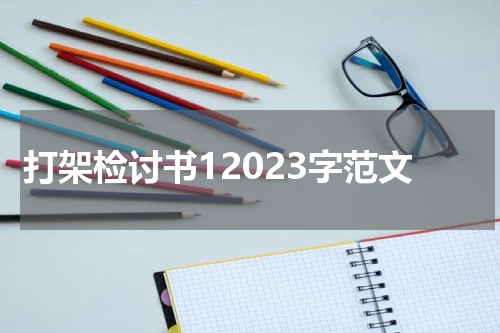 打架检讨书12023字范文