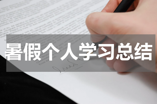 暑假个人学习总结