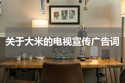 关于大米的电视宣传广告词