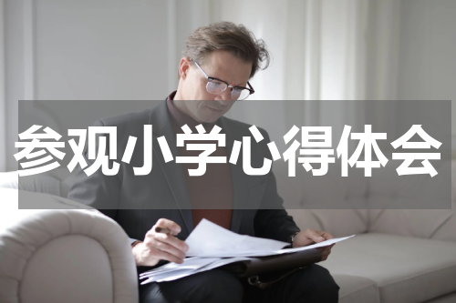 参观小学心得体会