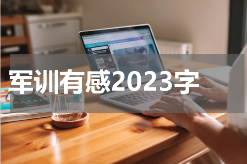 军训有感2023字