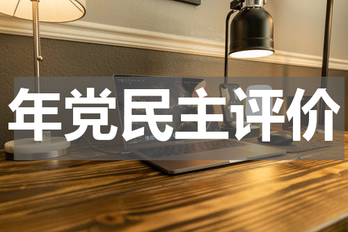 年党民主评价