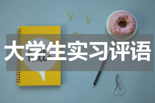 大学生实习评语