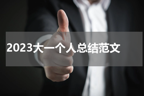 2023大一个人总结范文
