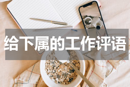 给下属的工作评语
