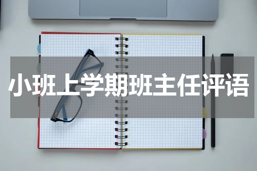 小班上学期班主任评语