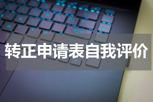 转正申请表自我评价