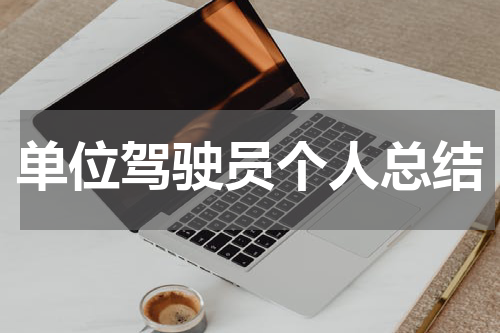 单位驾驶员个人总结