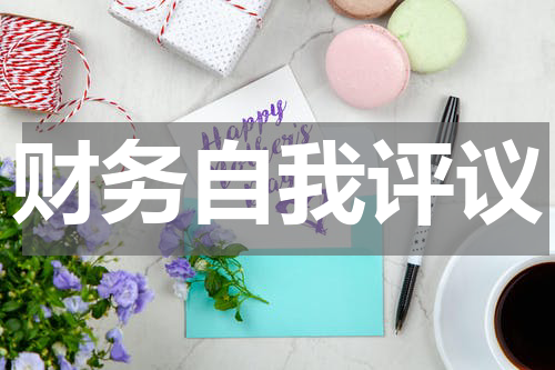 财务自我评议