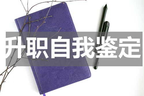 升职自我鉴定