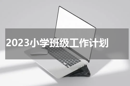 2023小学班级工作计划