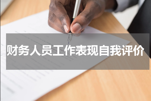 财务人员工作表现自我评价