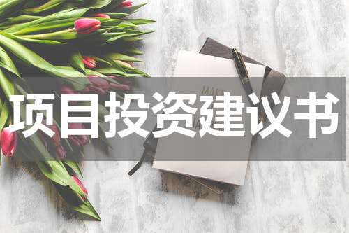 项目投资建议书
