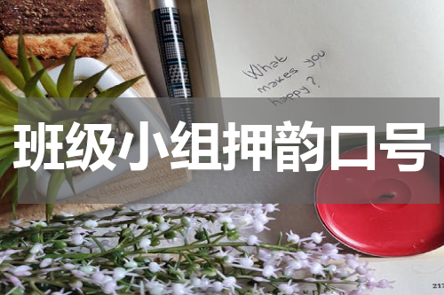 班级小组押韵口号