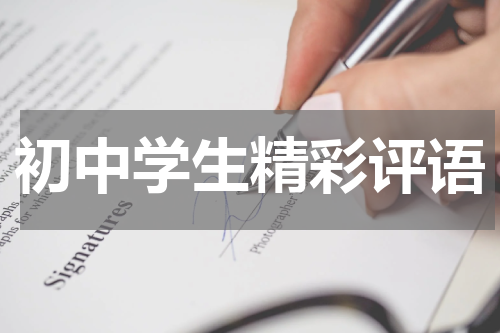 初中学生精彩评语