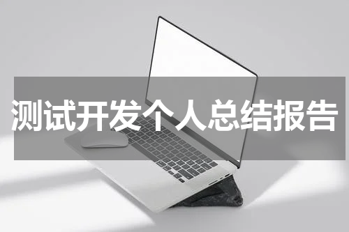 测试开发个人总结报告