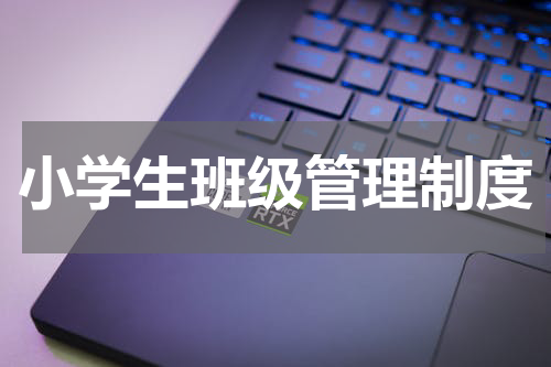 小学生班级管理制度