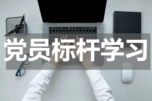 党员标杆学习