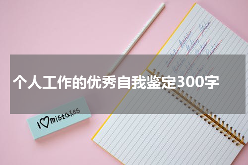 个人工作的优秀自我鉴定300字