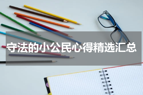 守法的小公民心得精选汇总