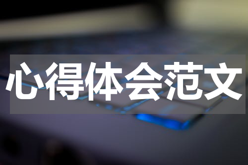 心得体会范文