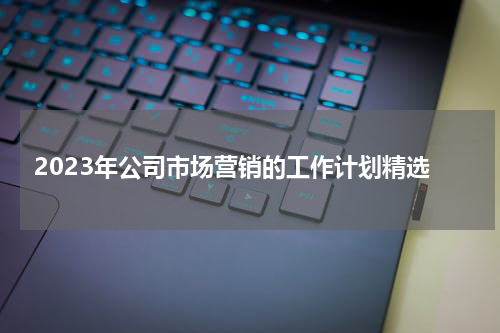 2023年公司市场营销的工作计划精选