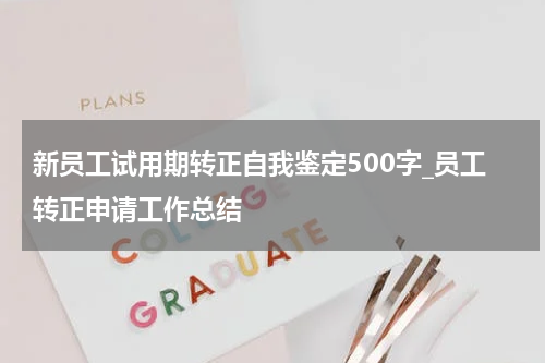 新员工试用期转正自我鉴定500字_员工转正申请工作总结