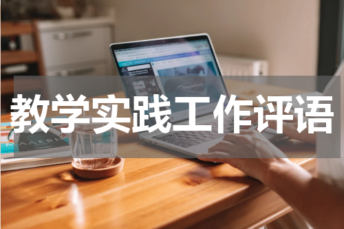 教学实践工作评语