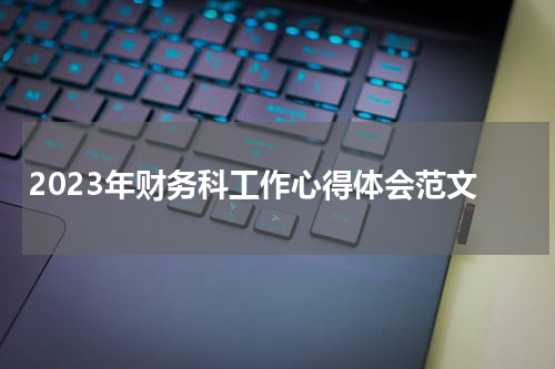 2023年财务科工作心得体会范文