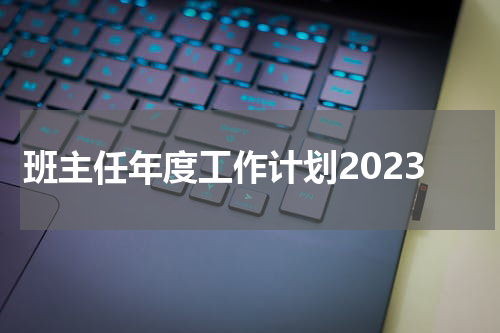 班主任年度工作计划2023