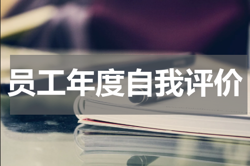 员工年度自我评价