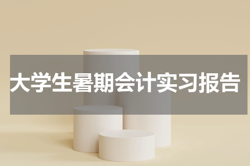 大学生暑期会计实习报告