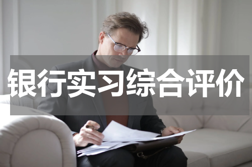 银行实习综合评价