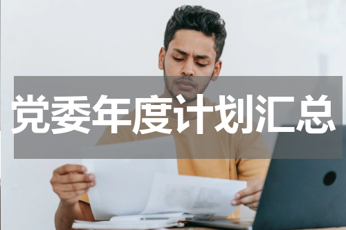党委年度计划汇总