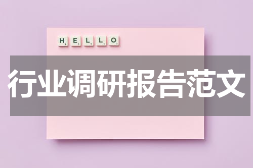 行业调研报告范文