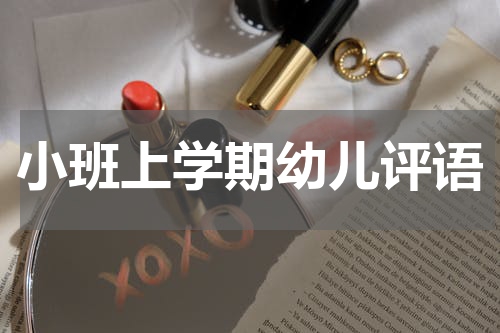 小班上学期幼儿评语