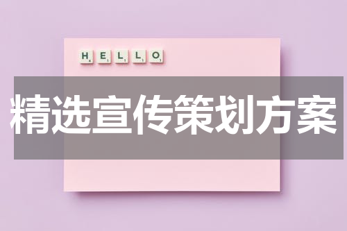 精选宣传策划方案
