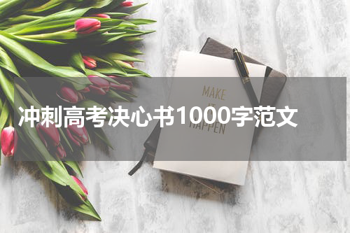 冲刺高考决心书1000字范文