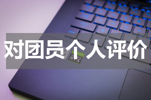 对团员个人评价