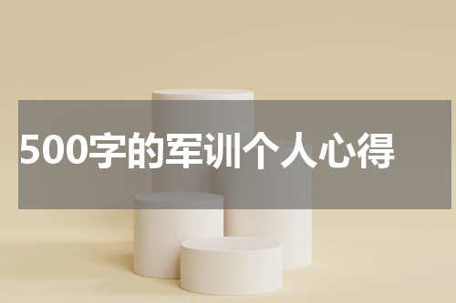 500字的军训个人心得