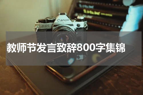 教师节发言致辞800字集锦