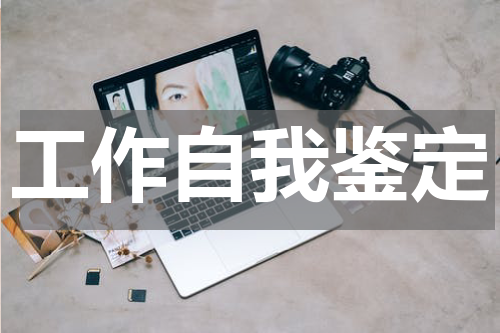 工作自我鉴定