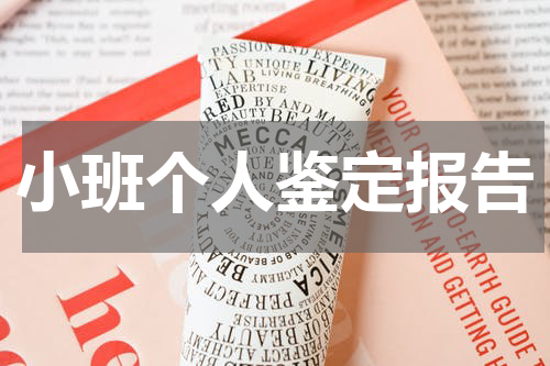 小班个人鉴定报告