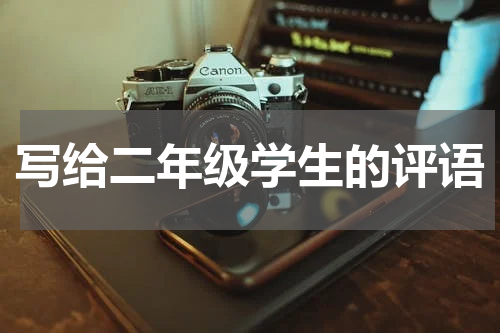 写给二年级学生的评语