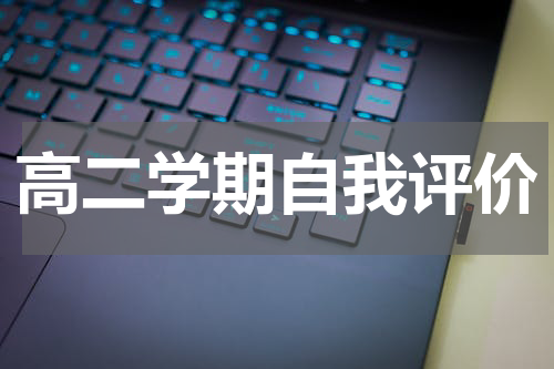 高二学期自我评价