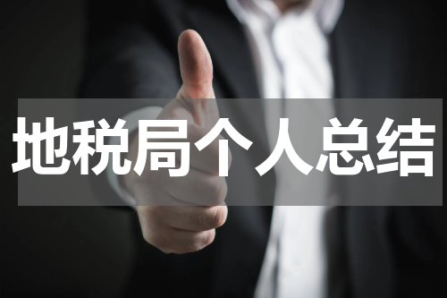 地税局个人总结