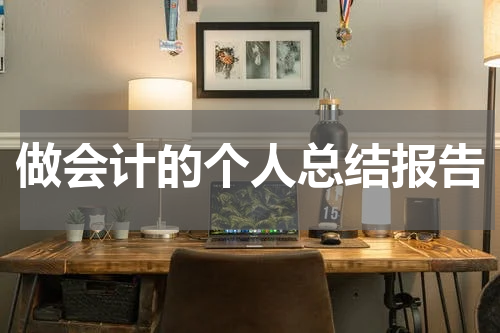 做会计的个人总结报告