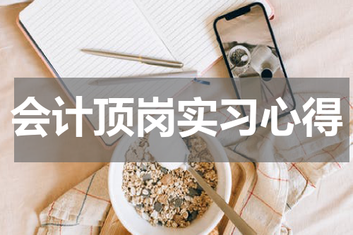 会计顶岗实习心得